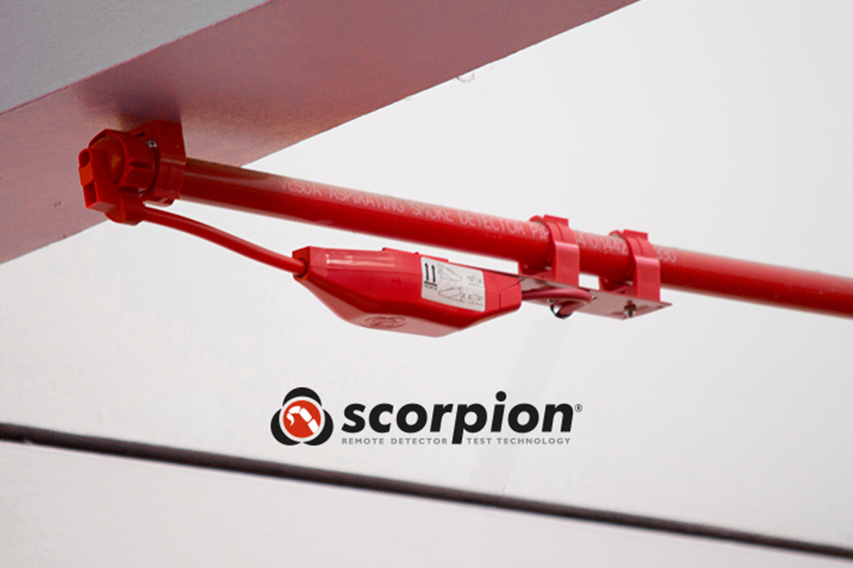 Scorpion success in Germany 