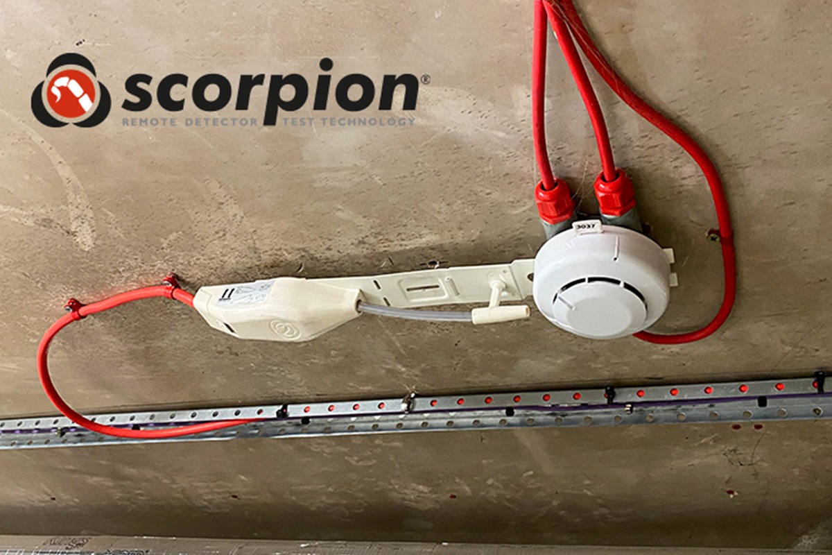 scorpion_in_lift_shaft.jpg